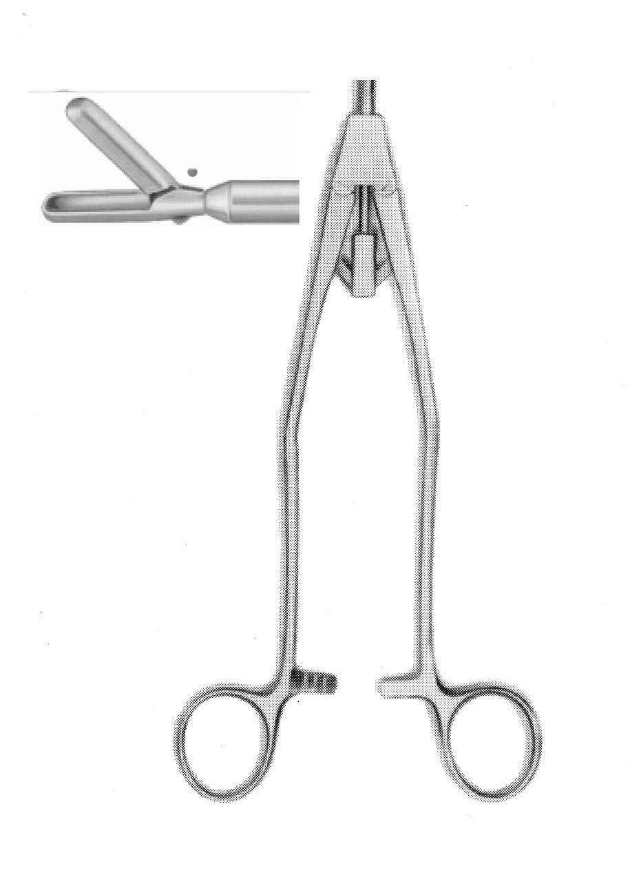 LARGE BİYOPSİ FORSEPS ÇAP  10 MM